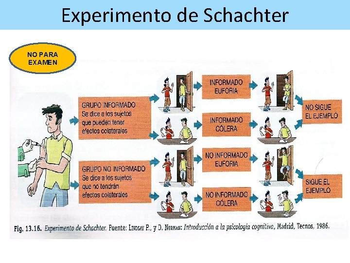 Experimento de Schachter NO PARA EXAMEN 