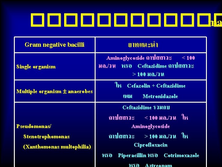 ������ ma Gram negative bacilli ยาทแนะนำ Aminoglycoside ถาปสสาวะ < 100 มล. /วน หรอ Ceftazidime