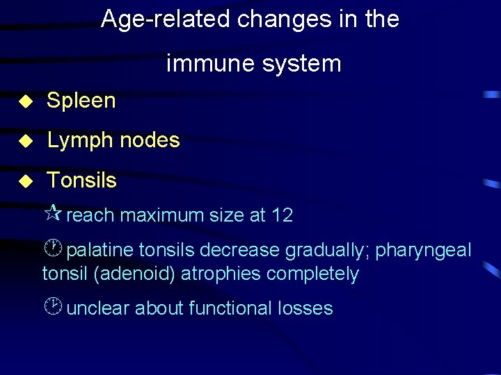 Age-related changes in the immune system u Spleen u Lymph nodes u Tonsils ¶