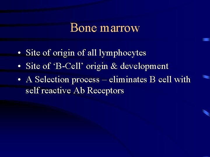 Bone marrow • Site of origin of all lymphocytes • Site of ‘B-Cell’ origin