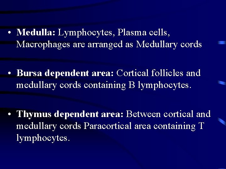  • Medulla: Lymphocytes, Plasma cells, Macrophages are arranged as Medullary cords • Bursa