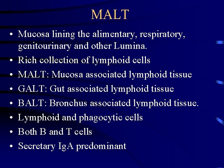 MALT • Mucosa lining the alimentary, respiratory, genitourinary and other Lumina. • Rich collection