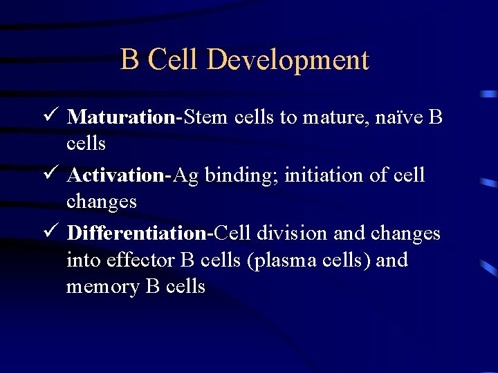 B Cell Development ü Maturation-Stem cells to mature, naïve B cells ü Activation-Ag binding;