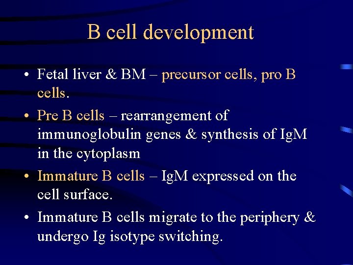 B cell development • Fetal liver & BM – precursor cells, pro B cells.