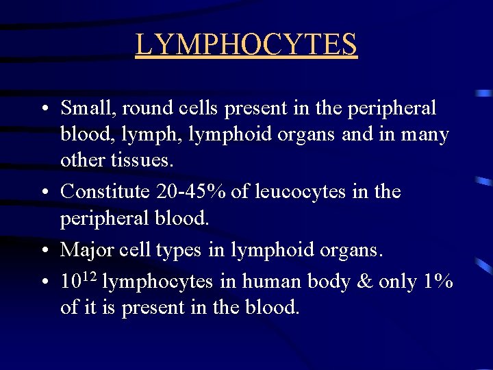 LYMPHOCYTES • Small, round cells present in the peripheral blood, lymphoid organs and in