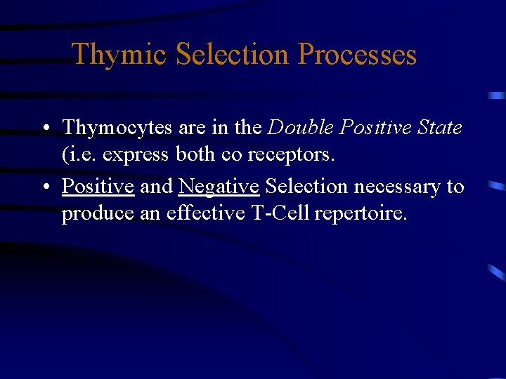 Thymic Selection Processes • Thymocytes are in the Double Positive State (i. e. express