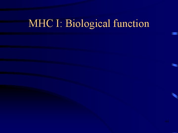 MHC I: Biological function 44 