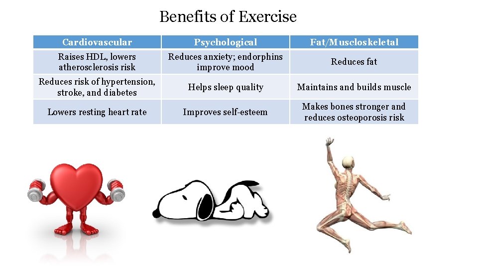 Benefits of Exercise Cardiovascular Psychological Fat/Muscloskeletal Raises HDL, lowers atherosclerosis risk Reduces anxiety; endorphins