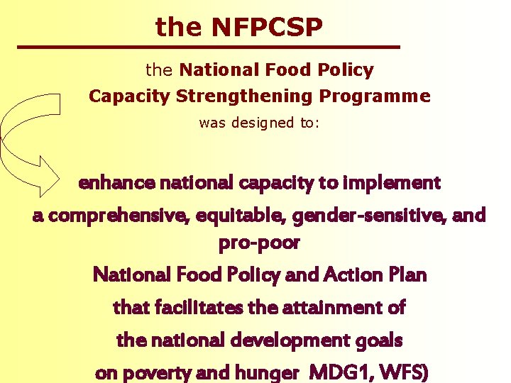 the NFPCSP the National Food Policy Capacity Strengthening Programme was designed to: enhance national