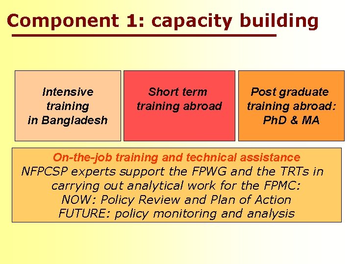 Component 1: capacity building Intensive training in Bangladesh Short term training abroad Post graduate