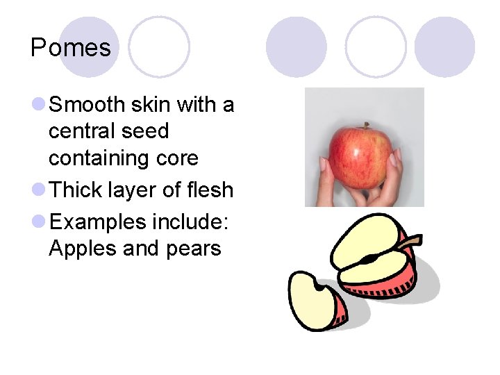 Pomes l Smooth skin with a central seed containing core l Thick layer of