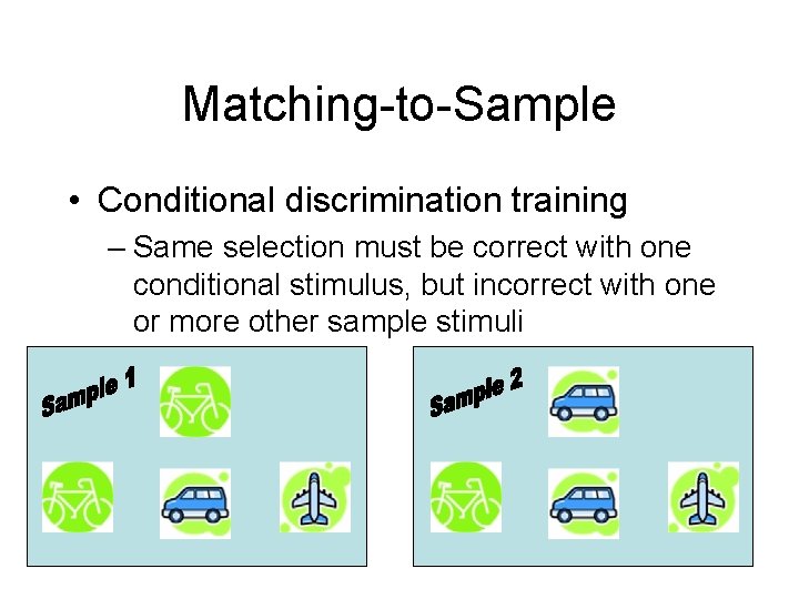 Matching-to-Sample • Conditional discrimination training – Same selection must be correct with one conditional