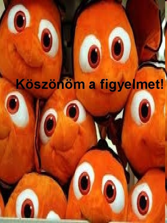 Köszönöm a figyelmet! 