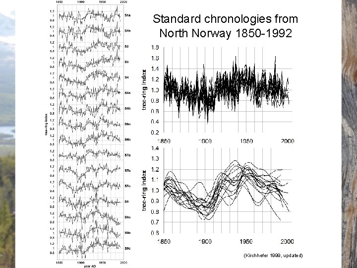 Standard chronologies from North Norway 1850 -1992 (Kirchhefer 1999, updated) 