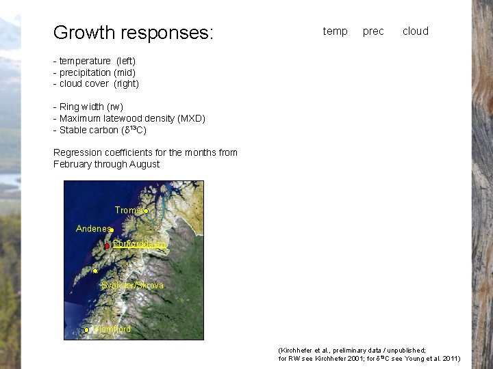 Growth responses: temp prec cloud - temperature (left) - precipitation (mid) - cloud cover