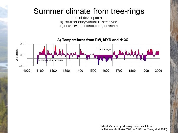 Summer climate from tree-rings recent developments: a) low-frequency variability preserved, b) new climate information