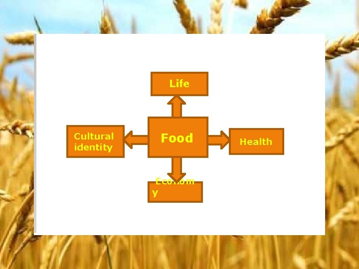 Life Cultural identity Food Econom y Health 