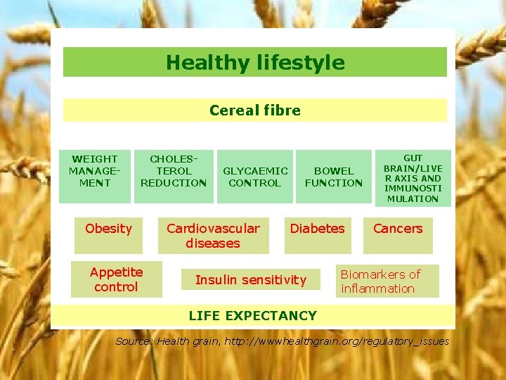 Healthy lifestyle Cereal fibre WEIGHT MANAGEMENT CHOLESTEROL REDUCTION Obesity Appetite control GLYCAEMIC CONTROL Cardiovascular