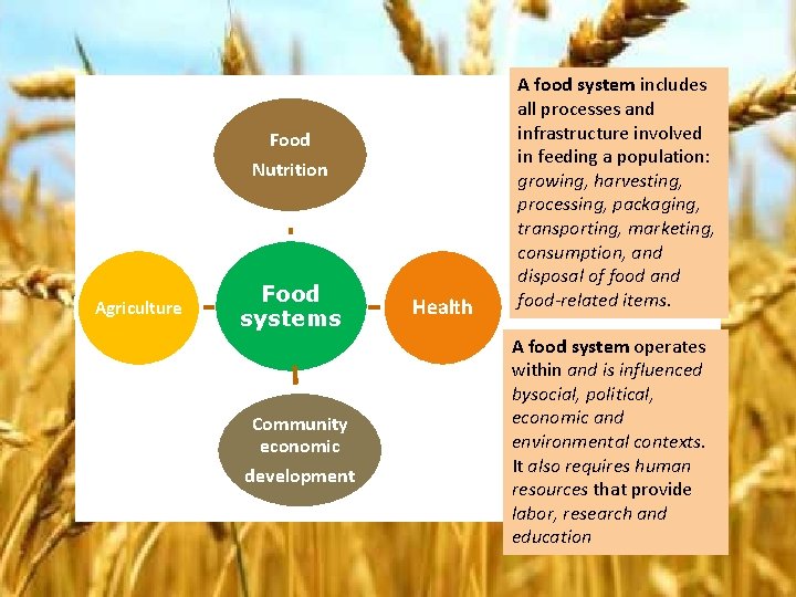 Food Nutrition Agriculture Food systems Community economic development Health A food system includes all