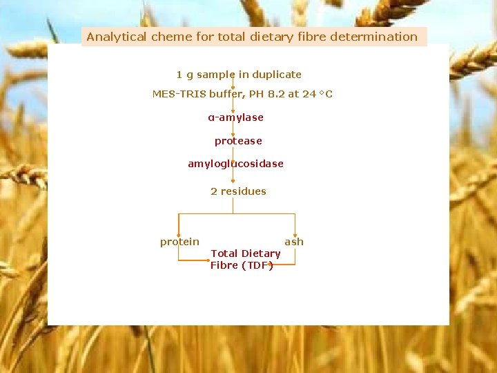 Analytical cheme for total dietary fibre determination 1 g sample in duplicate MES-TRIS buffer,