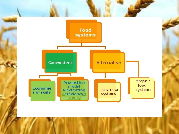 Food systems Conventional Economies s of of scale Production model Maximizing eefficiencyff iciency Alternative