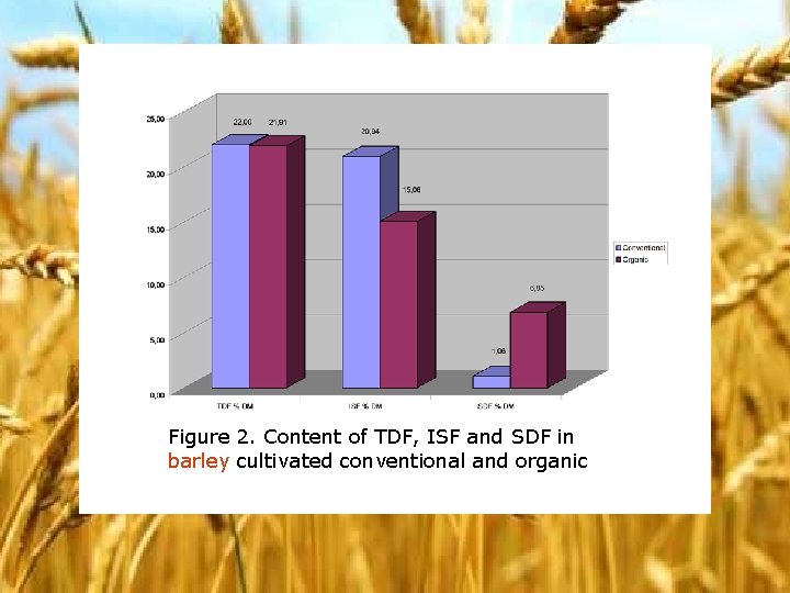 Figure 2. Content of TDF, ISF and SDF in barley cultivated conventional and organic