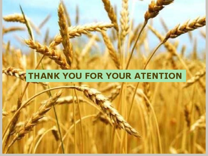 THANK YOU FOR YOUR ATENTION 