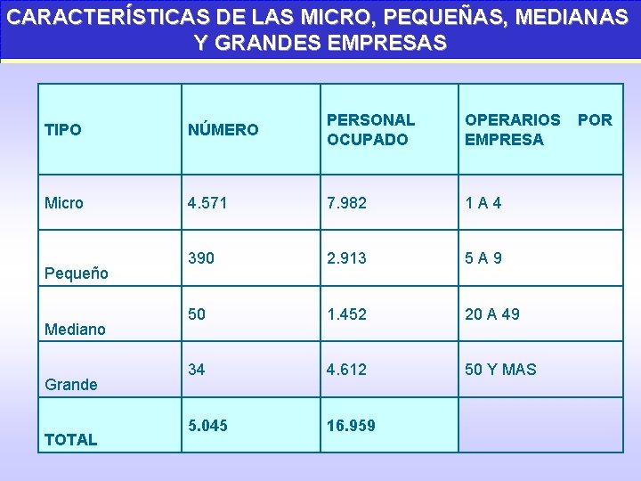 CARACTERÍSTICAS DE LAS MICRO, PEQUEÑAS, MEDIANAS Y GRANDES EMPRESAS TIPO NÚMERO PERSONAL OCUPADO OPERARIOS