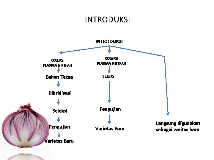 INTRODUKSI KOLEKSI PLASMA NUTFAH Bahan Tetua KOLEKSI PLASMA NUTFAH SELEKSI Hibridisasi Seleksi Pengujian Varietas