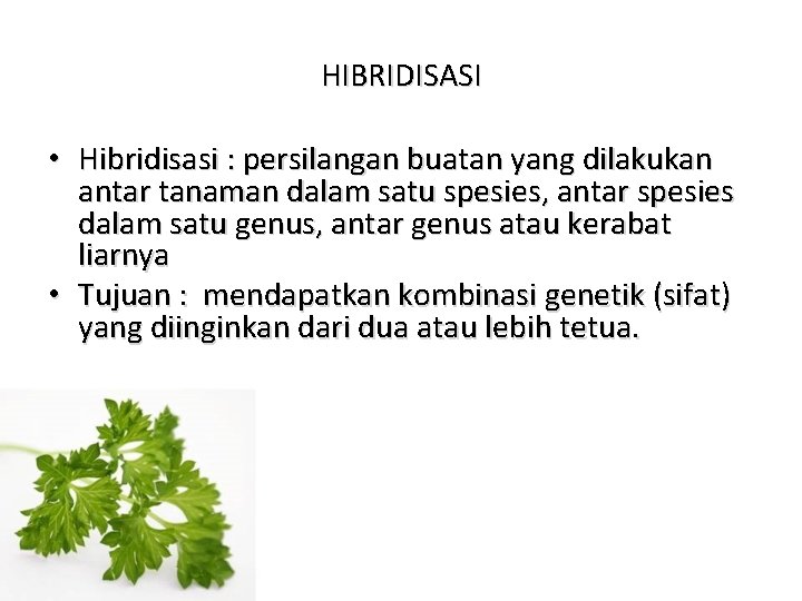 HIBRIDISASI • Hibridisasi : persilangan buatan yang dilakukan antar tanaman dalam satu spesies, antar