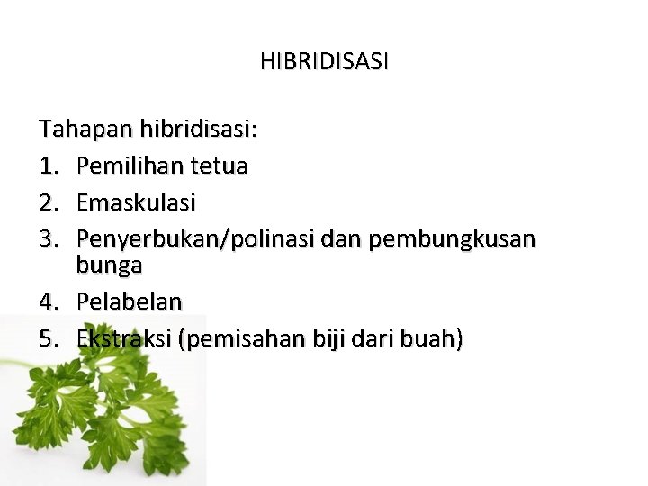 HIBRIDISASI Tahapan hibridisasi: 1. Pemilihan tetua 2. Emaskulasi 3. Penyerbukan/polinasi dan pembungkusan bunga 4.