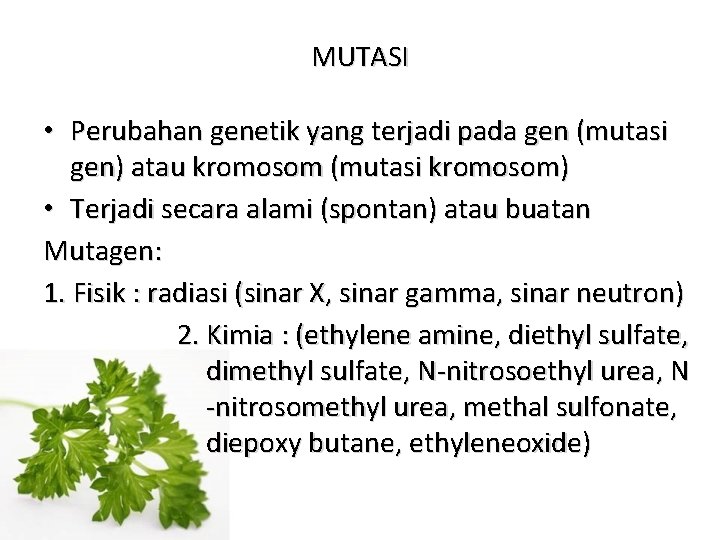 MUTASI • Perubahan genetik yang terjadi pada gen (mutasi gen) atau kromosom (mutasi kromosom)