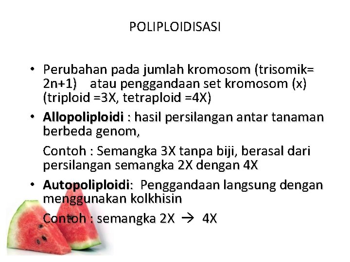 POLIPLOIDISASI • Perubahan pada jumlah kromosom (trisomik= 2 n+1) atau penggandaan set kromosom (x)