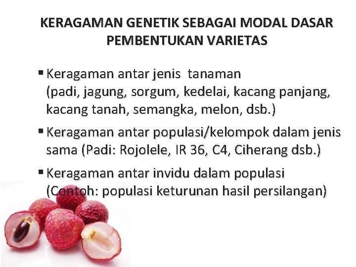 KERAGAMAN GENETIK SEBAGAI MODAL DASAR PEMBENTUKAN VARIETAS § Keragaman antar jenis tanaman (padi, jagung,