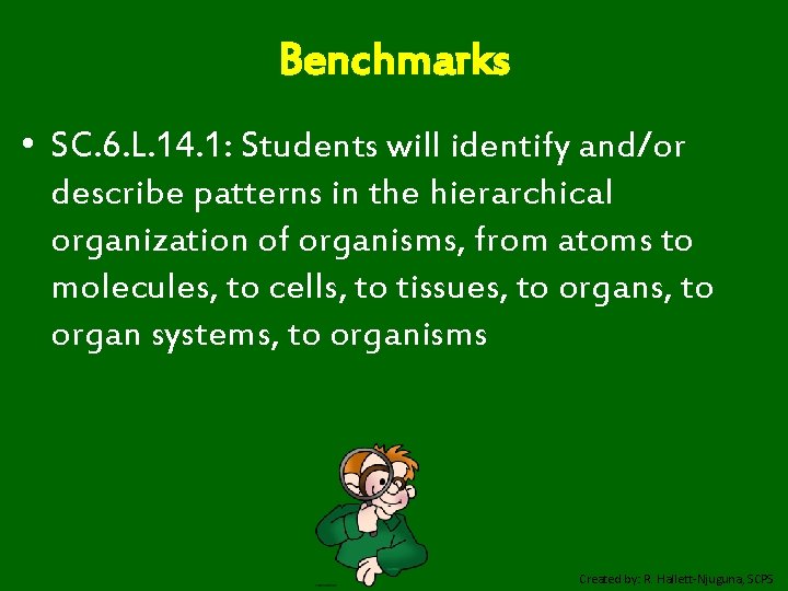 Benchmarks • SC. 6. L. 14. 1: Students will identify and/or describe patterns in