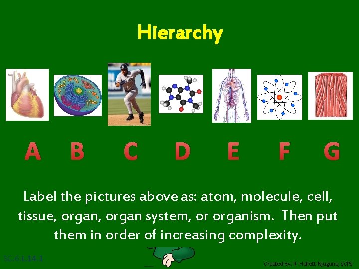 Hierarchy A B C D E F G Label the pictures above as: atom,
