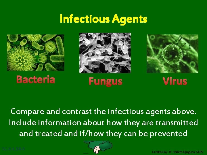 Infectious Agents Bacteria Fungus Virus Compare and contrast the infectious agents above. Include information