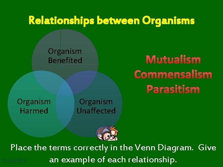 Relationships between Organisms Organism Benefited Organism Harmed Organism Unaffected Mutualism Commensalism Parasitism Place the