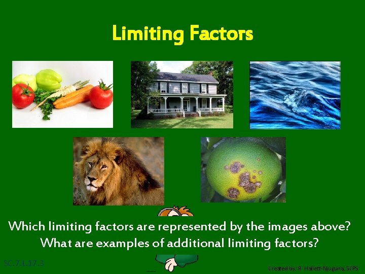 Limiting Factors Which limiting factors are represented by the images above? What are examples