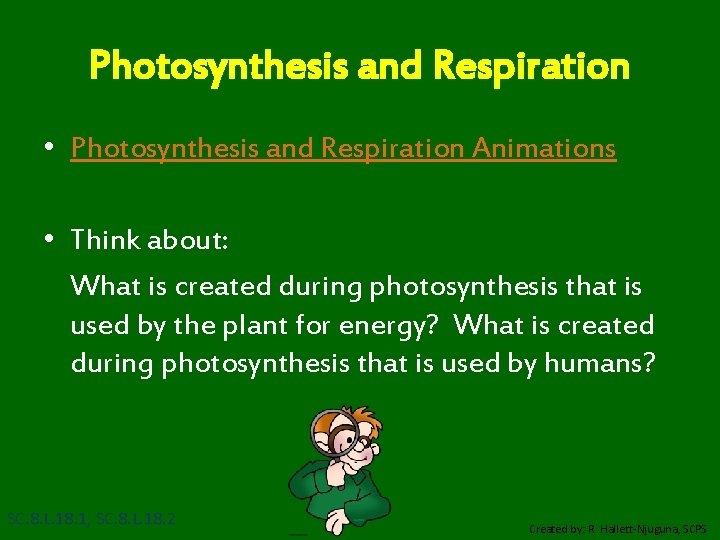 Photosynthesis and Respiration • Photosynthesis and Respiration Animations • Think about: What is created
