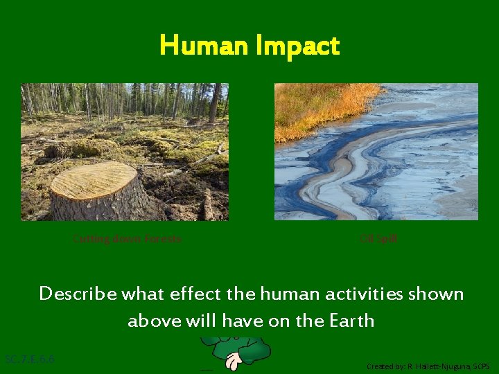 Human Impact Cutting down Forests Oil Spill Describe what effect the human activities shown