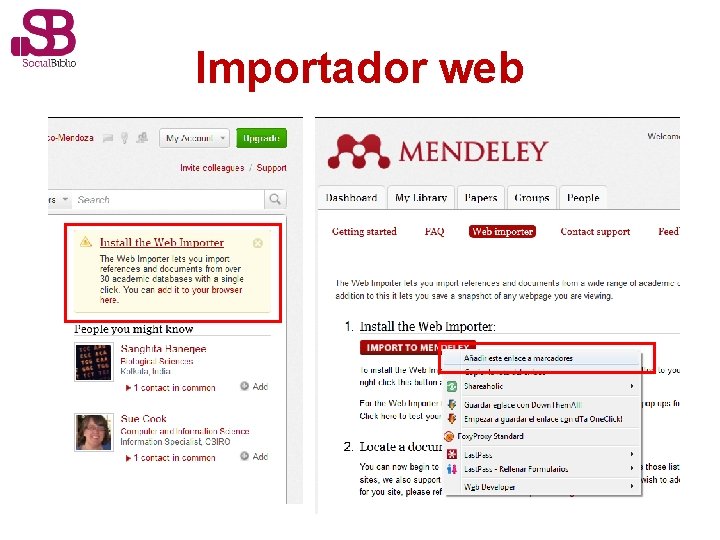 Importador web 
