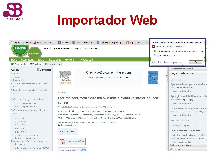 Importador Web 