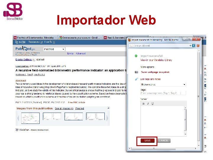 Importador Web 