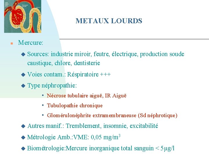 METAUX LOURDS Mercure: Sources: industrie miroir, feutre, électrique, production soude caustique, chlore, dentisterie Voies