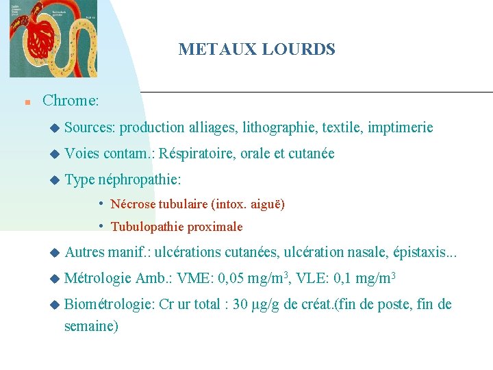 METAUX LOURDS Chrome: Sources: production alliages, lithographie, textile, imptimerie Voies contam. : Réspiratoire, orale