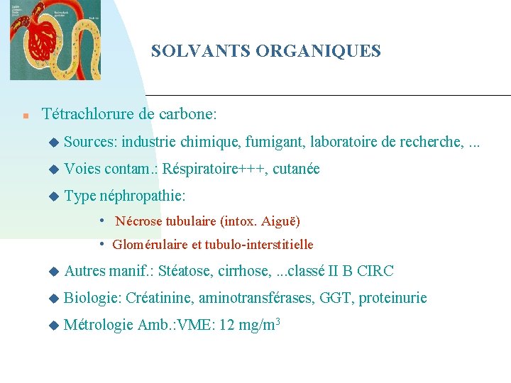 SOLVANTS ORGANIQUES Tétrachlorure de carbone: Sources: industrie chimique, fumigant, laboratoire de recherche, . .