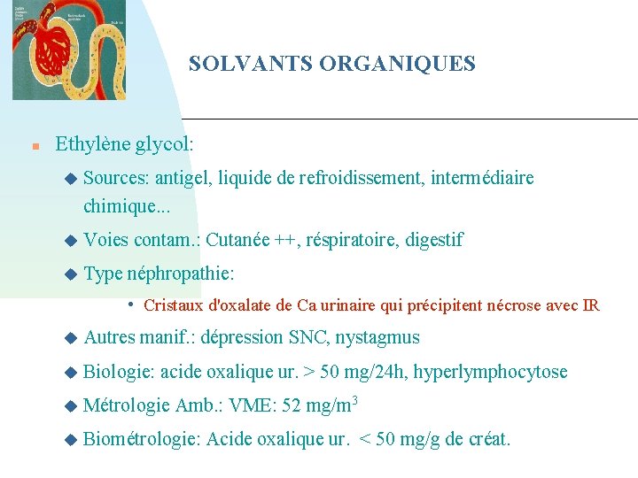 SOLVANTS ORGANIQUES Ethylène glycol: Sources: antigel, liquide de refroidissement, intermédiaire chimique. . . Voies