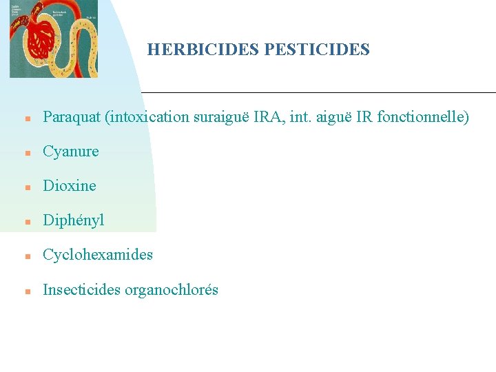HERBICIDES PESTICIDES Paraquat (intoxication suraiguë IRA, int. aiguë IR fonctionnelle) Cyanure Dioxine Diphényl Cyclohexamides