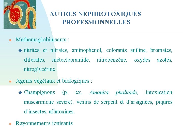 AUTRES NEPHROTOXIQUES PROFESSIONNELLES Méthémoglobinisants : nitrites et nitrates, aminophénol, colorants aniline, bromates, chlorates, métoclopramide,